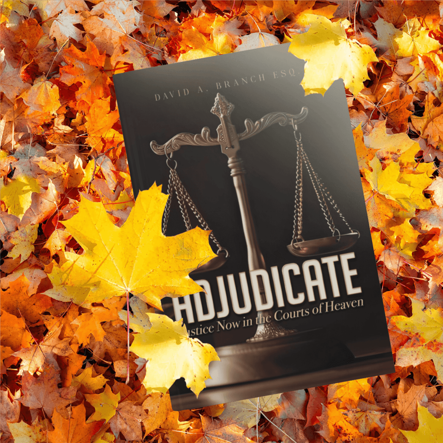 Adjudicate: Justice Now in the Courts of Heaven