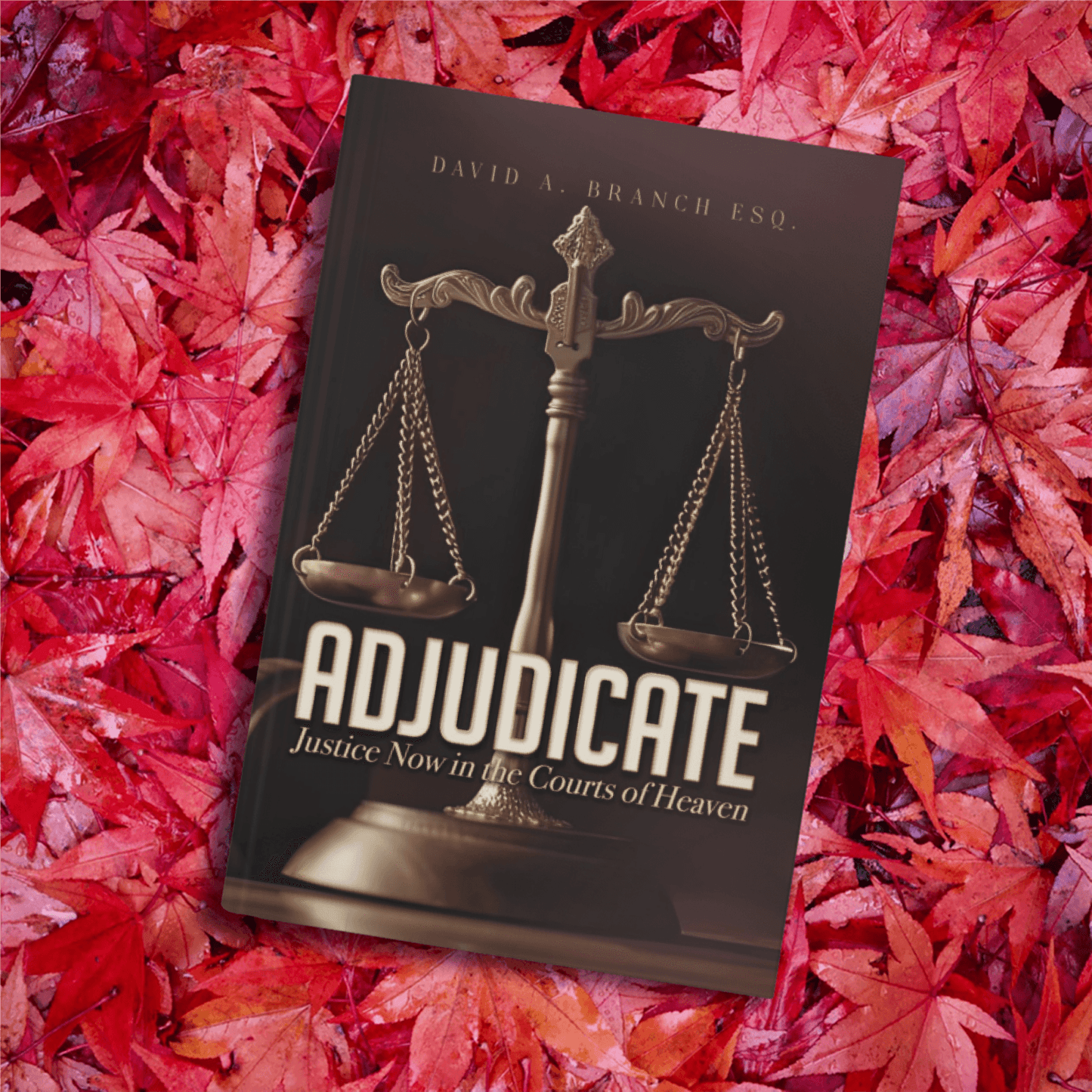Adjudicate: Justice Now in the Courts of Heaven